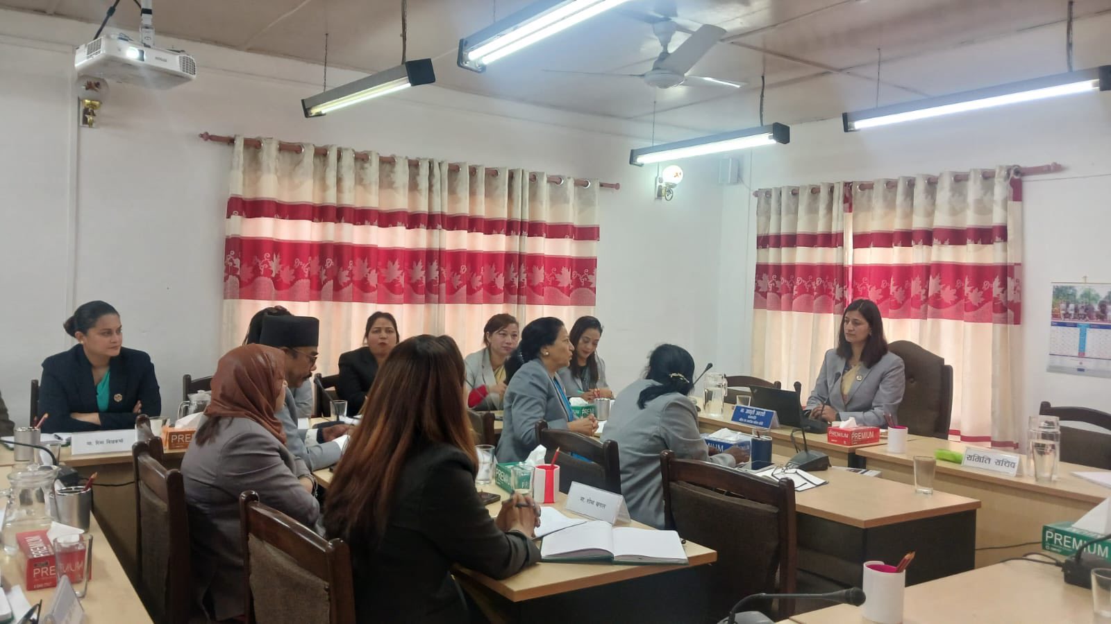 Committee members participating in the second meeting