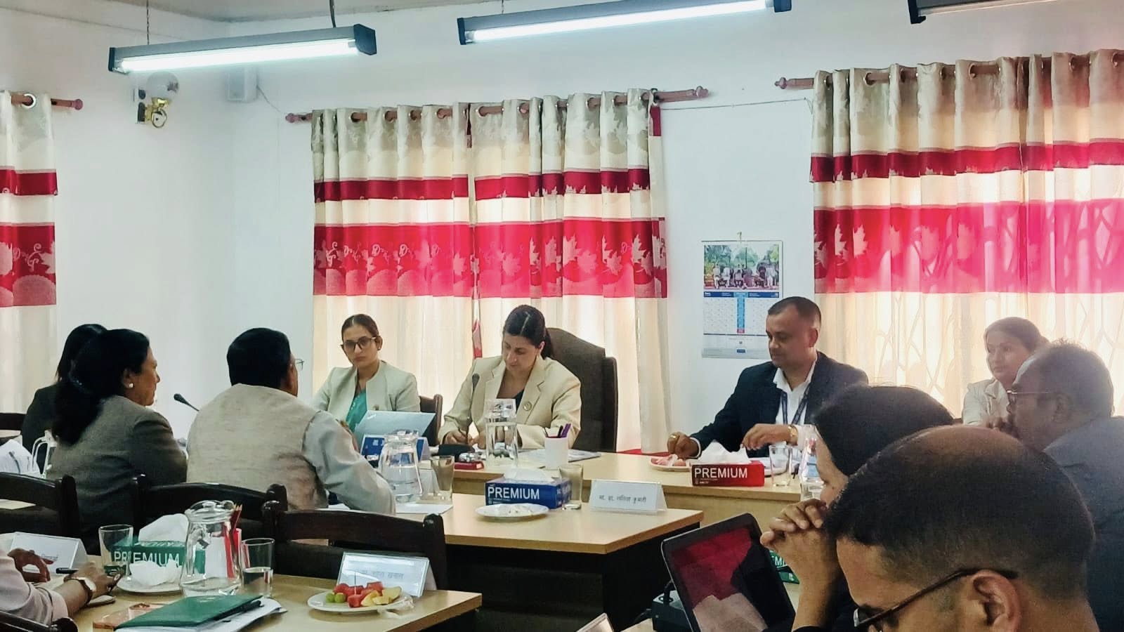 Committee members participating in the meeting