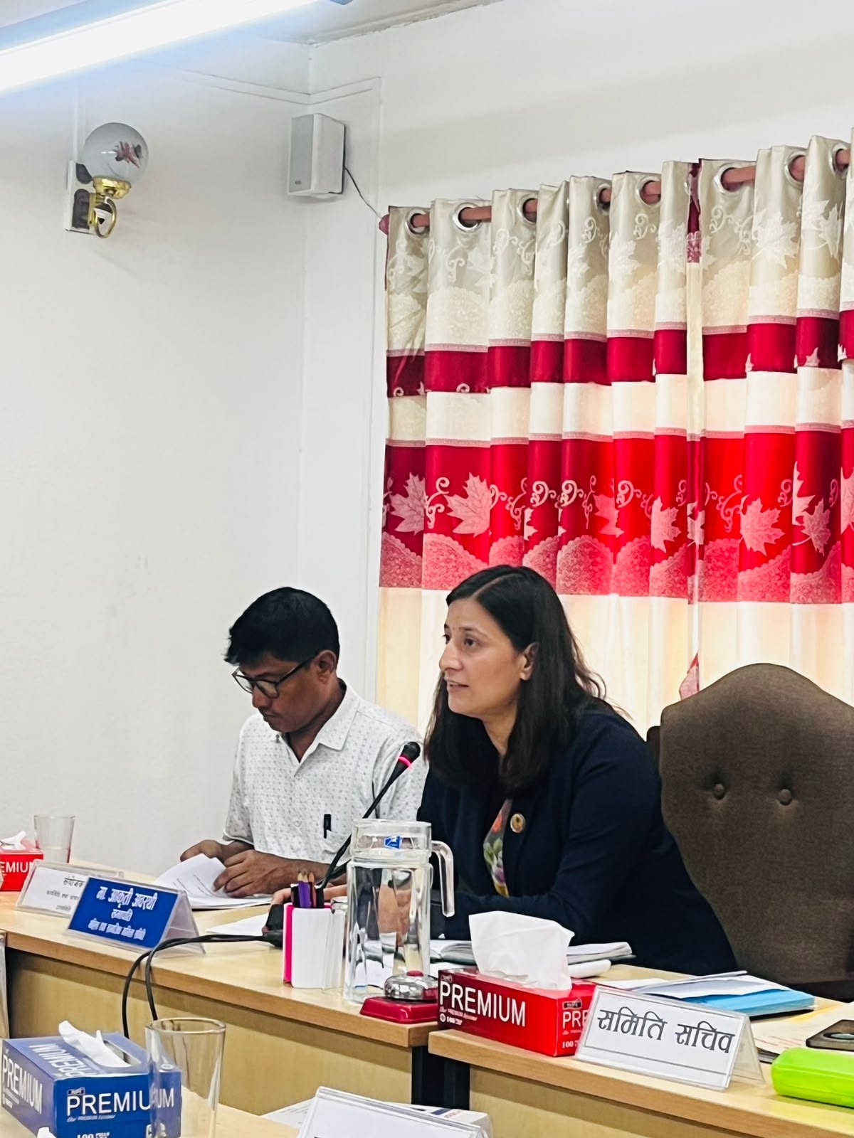 Aakriti Awasthi speaking during the subcommittee meeting